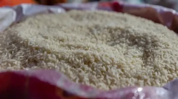 تراجع طفيف أسعار الأرز والشعير في الأسواق الأحد 18 يناير